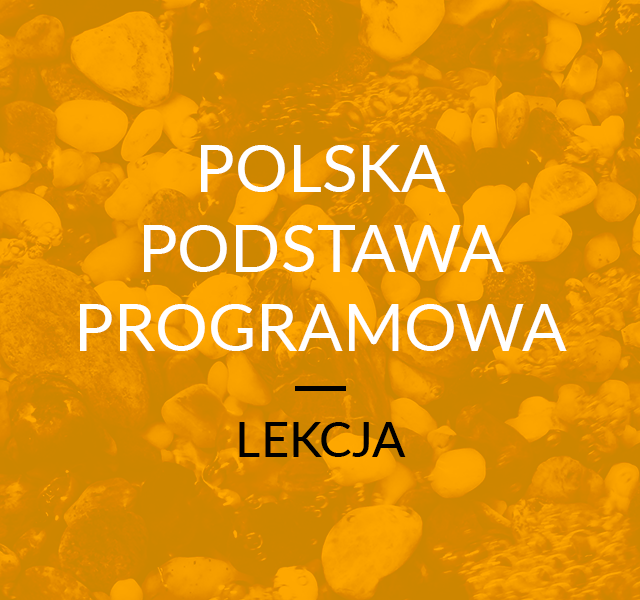 Lekcja Indywidualna Polska Podstawa Programowa MEN