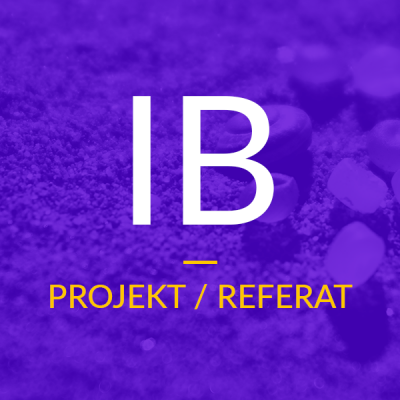 Projekt / Referat – IB