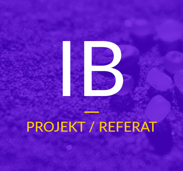 Projekt / Referat – IB